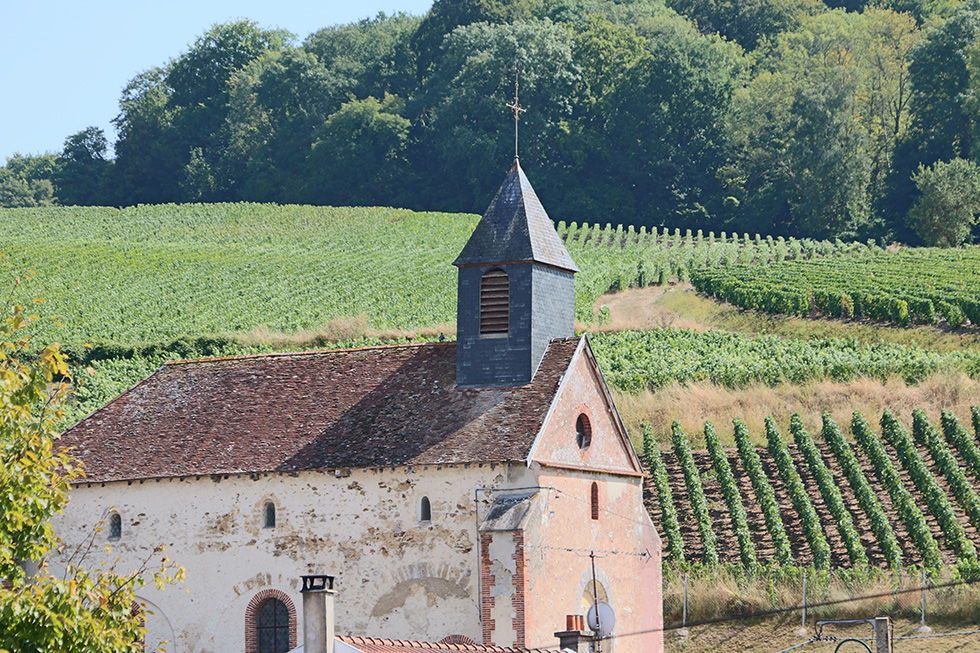 Champagne Gabriel Fresne vignerons récoltants-manipulants à Brugny-Vaudancourt sur les Coteaux Sud d'Epernay