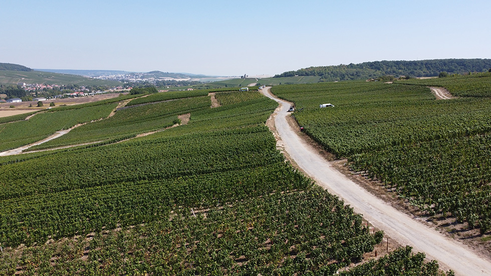 Champagne Gabriel Fresne vignerons récoltants-manipulants à Brugny-Vaudancourt sur les Coteaux Sud d'Epernay